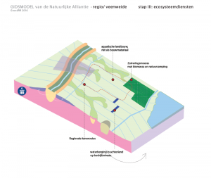 regio veenweide ecosysteemdiensten