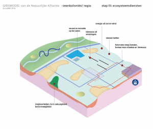 regio veenkolonien ecosysteemdiensten