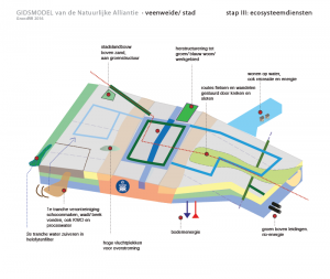 stad veenweide ecosysteemdiensten