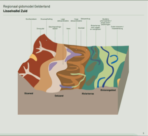 In het model van deze regio beschrijven we vier landschappen. Op de tekening zijn dat van links naar rechts de stuwwal van de Veluwe, een centraal gelegen dekzandgebied, het rivierterras van een vroegere loop van de Rijn en het jonge rivierkleilandschap van de IJssel.