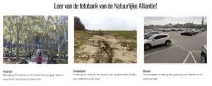 deel van de fotobeeldbank