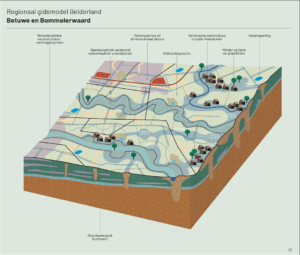 Kaart van het natuurlijke systeem van de Betuwe en Bommelerwaard hoe het systeem zich wil aanpassen aan klimaatverandering. Ingrepen in het systeem en onthechting van grondgebruik hebben dat proces echter ingeperkt. De natuur neemt daardoor in kwaliteit en kwantiteit af.